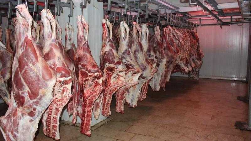 ارتفاع أسعار اللحوم الكندوز وانخفاض البتلو والضأن في الأسواق