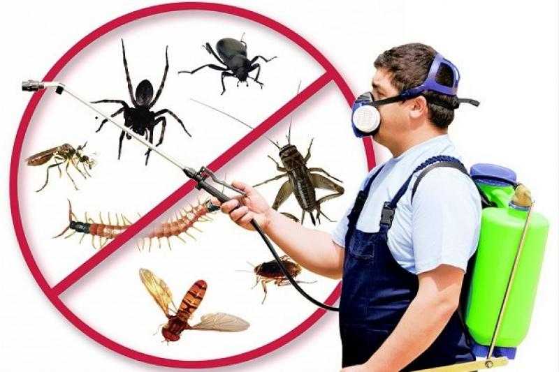 من غير مبيدات.. 6 طرق سهلة لمنع دخول الحشرات إلى المنزل في الصيف